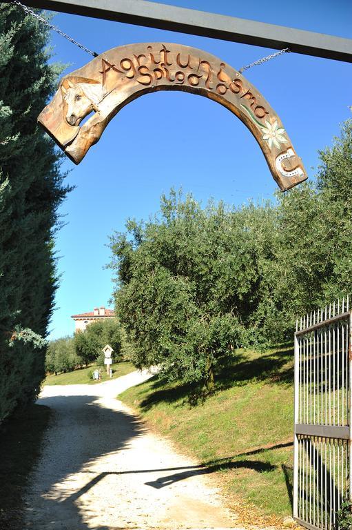 Agriturismo Spigolo Avesa Extérieur photo
